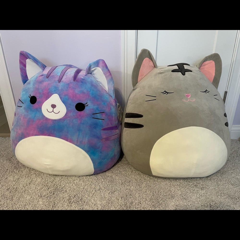 Cat squishmallow bundle